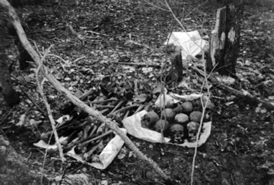 Останки советских воинов, найденные одной из поисковых экспедиций в Мясном Бору. Современное фото