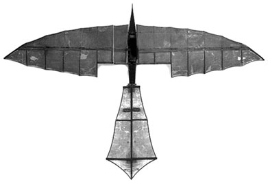 Модель аэроплана У.Хенсона и Д.Спрингфилла с первым легким паровым двигателем, который вращал два пропеллера. 1840-е гг.