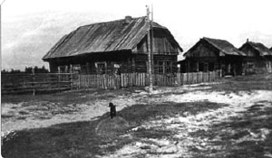 Посёлок спецпереселенцев. В каждой избе жило по несколько семей. Сургутский район. 1930 г.