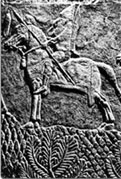 Ассирийский всадник. Рельеф из Ниневии